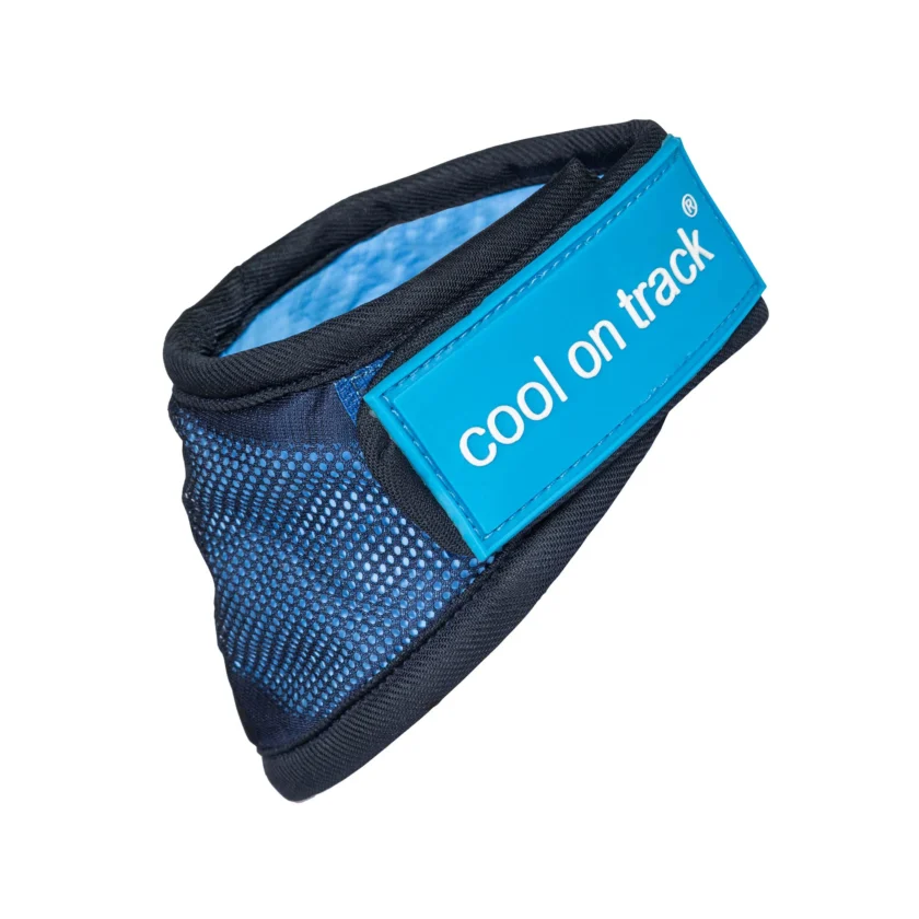 4322 Cooling Bandana