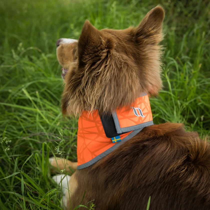 3232 Draco High Visibility Bandana Orange 4