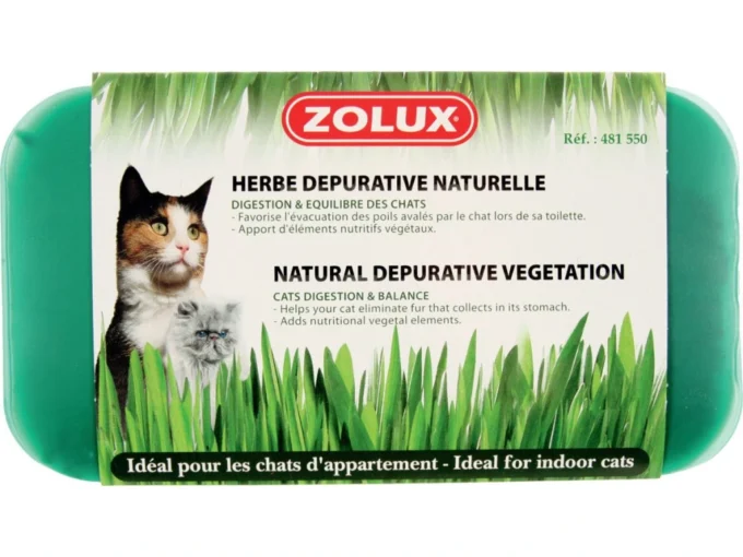 Kočičí tráva - Catnip Přírodní pochoutka pro kočky