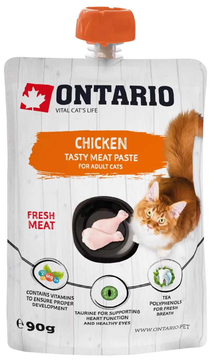 Pasta Ontario kuře 90g